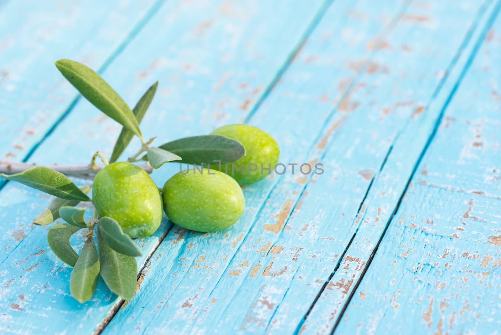Fresh green olives with leaves at twig on blue wooden table background