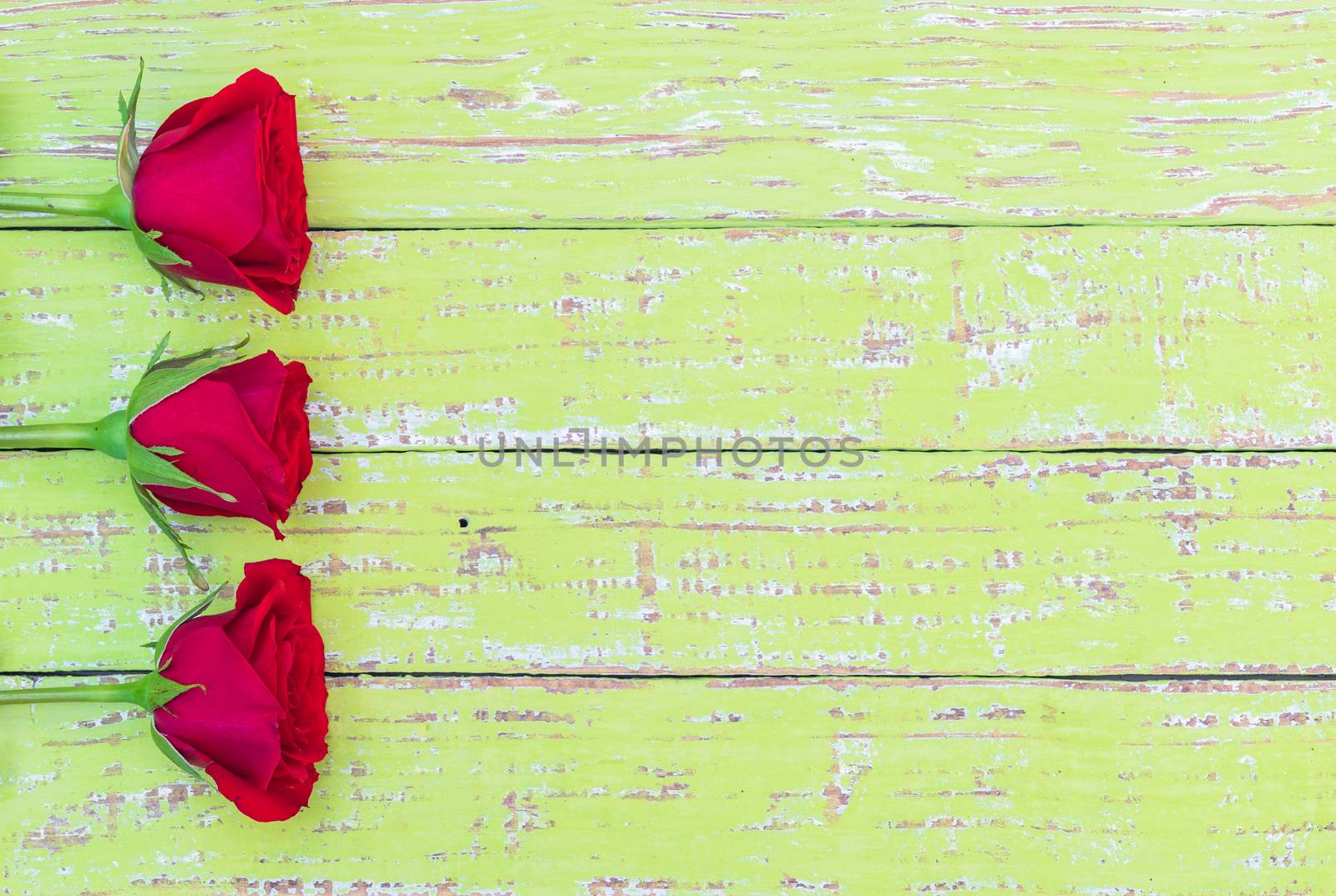 Red rose flowers on green wooden background with copy space