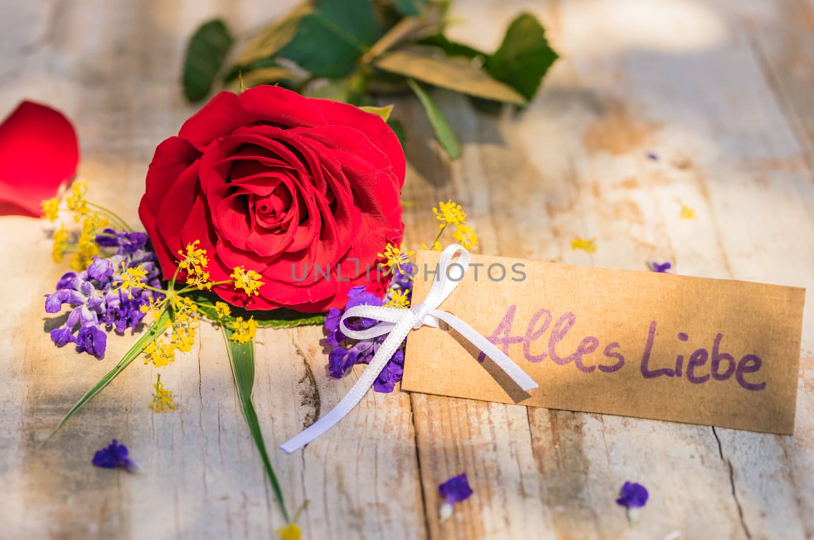 Mother's day  flowers with greeting card by Vulcano