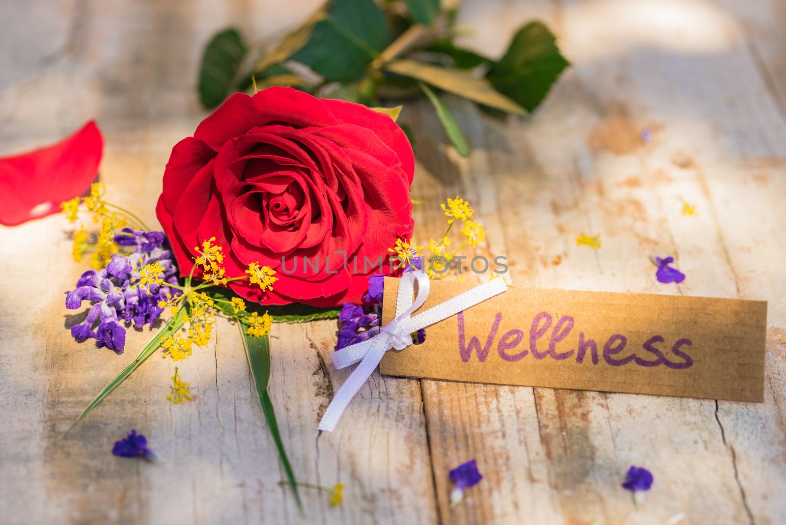 Bunch of flowers with gift card, voucher or coupon for Wellness