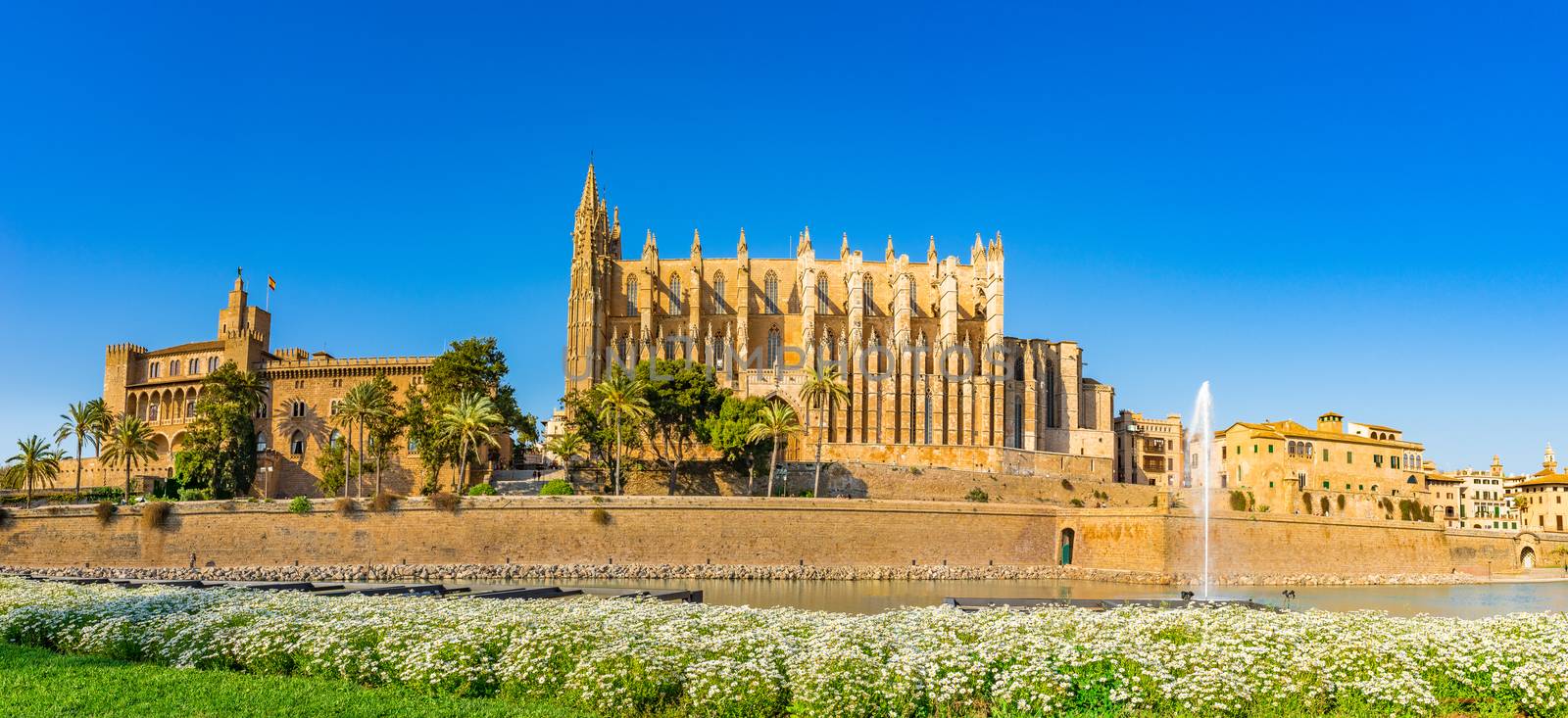 Panorama view of Cathedral La Seu in Palma de Mallorca city, Spain by Vulcano