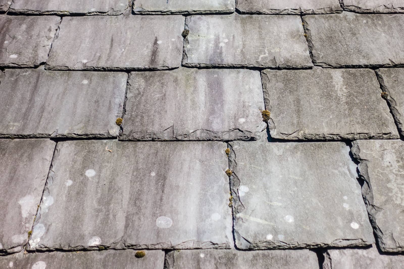 A slate tiled roof. on a traditional house