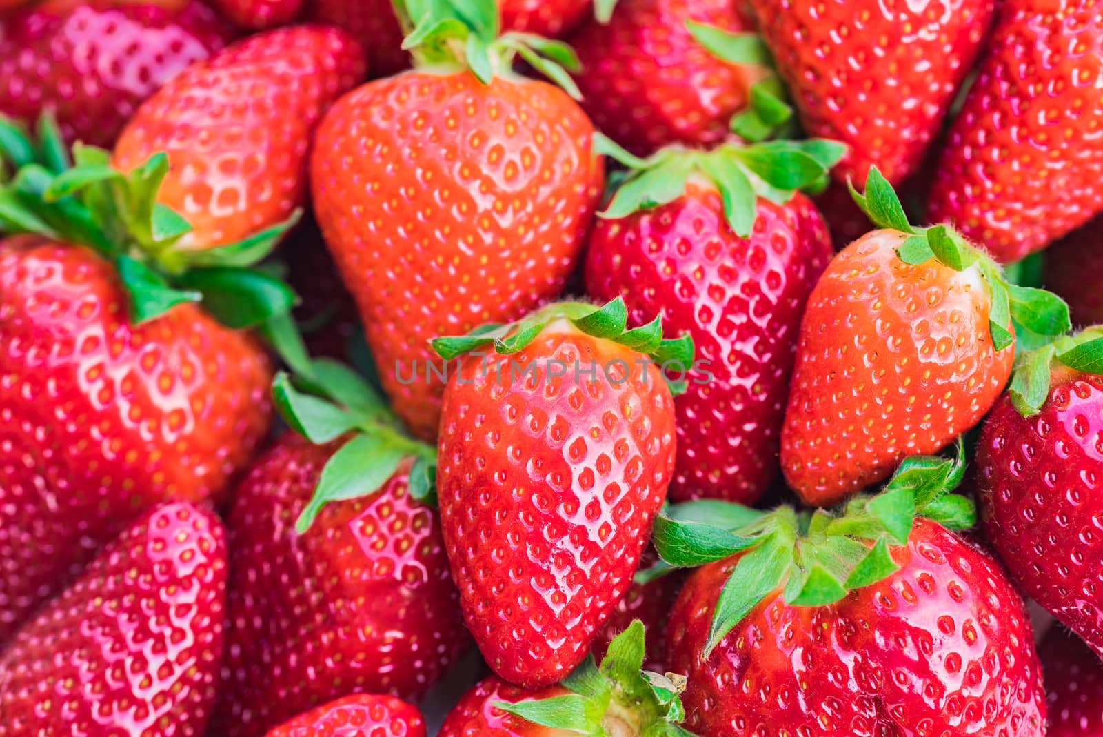 Red ripe delicious strawberries, close-up