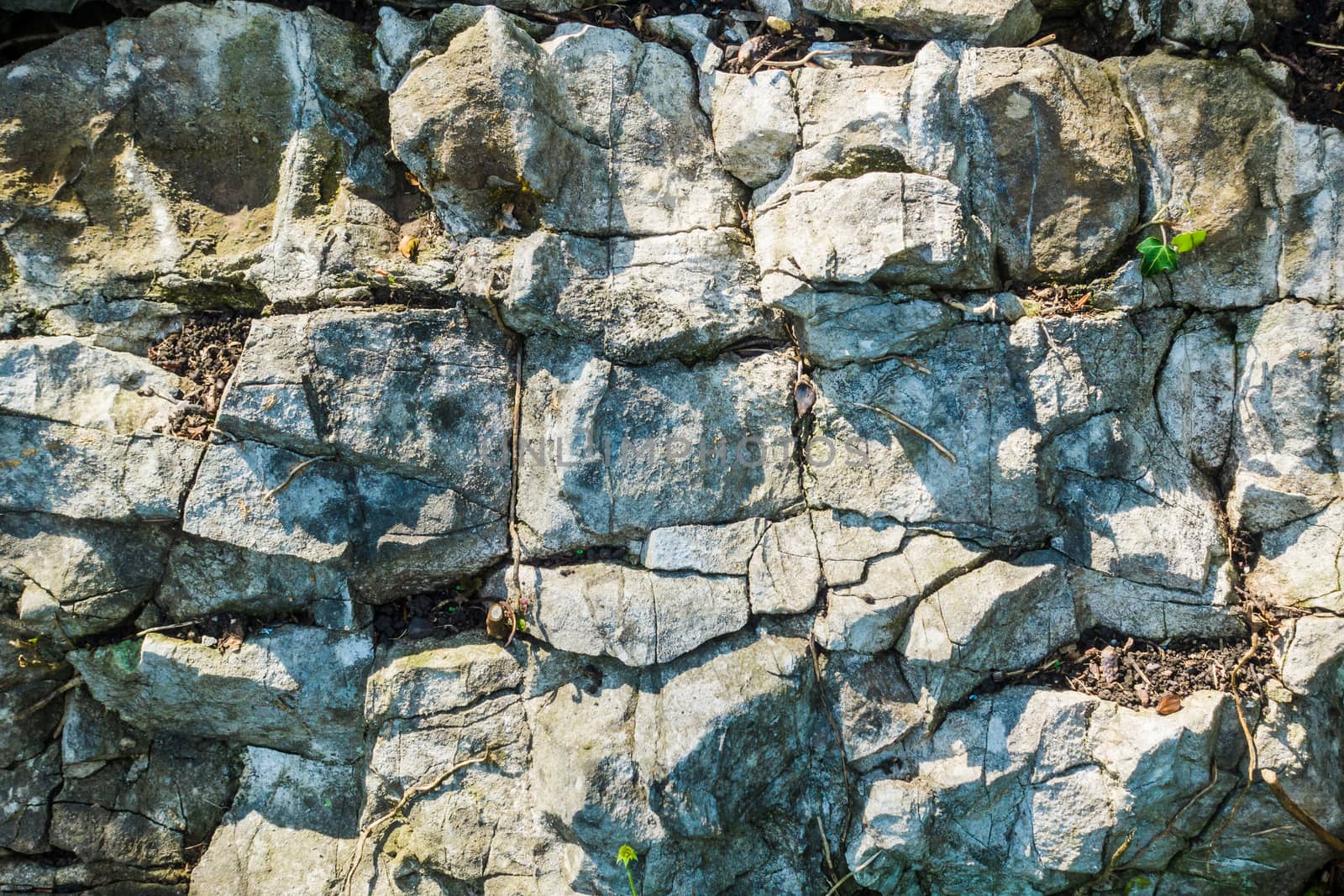 Detail of crumbling Limestone on a rockface UK