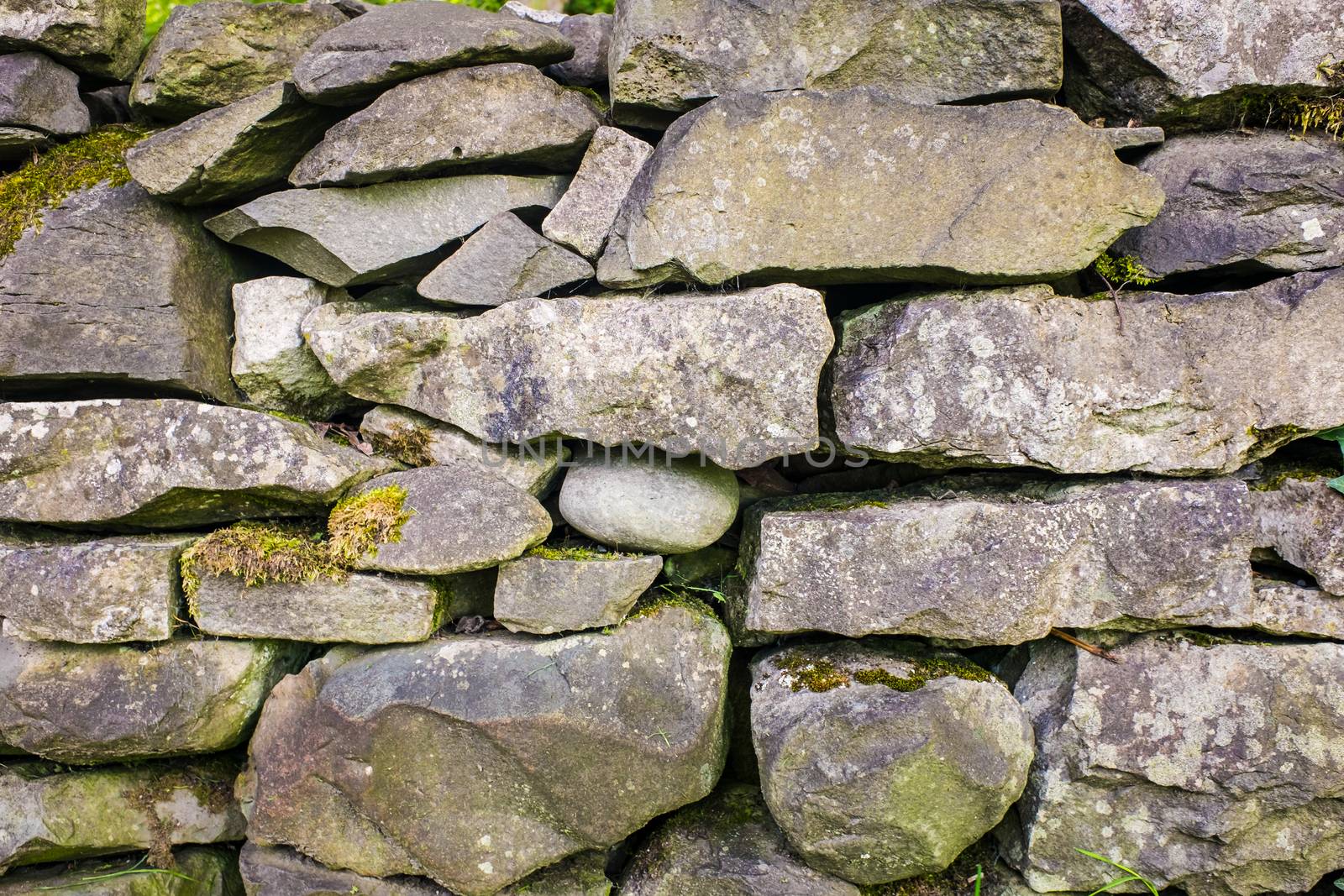 close up of a Dry Stone Wall in Cumbria England by paddythegolfer