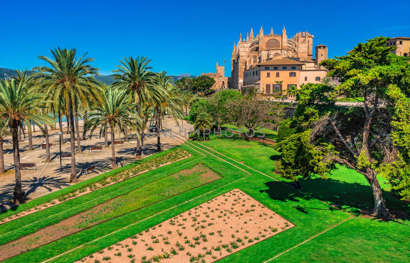 Spain Majorca island, Cathedral La Seu in Palma de Mallorca