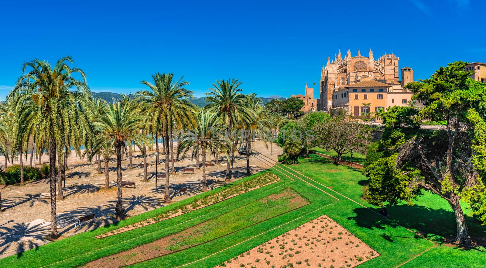 Palma de Majorca, Cathedral La Seu
