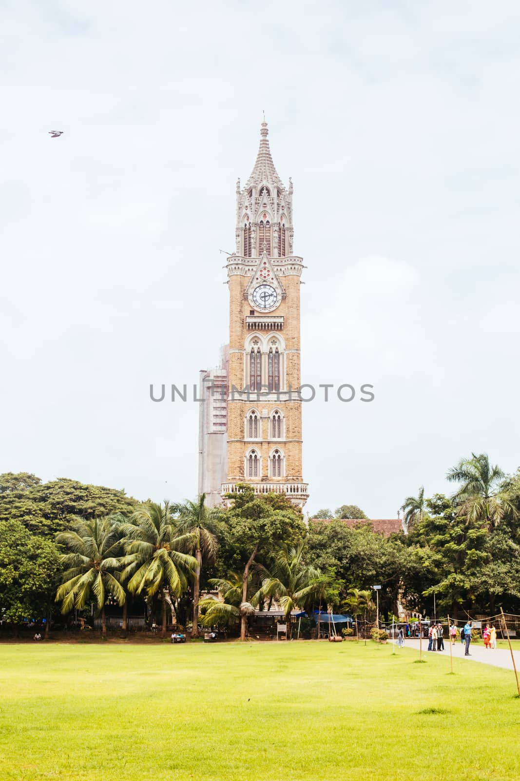 Rajabai Clock Tower Mumbai India by FiledIMAGE