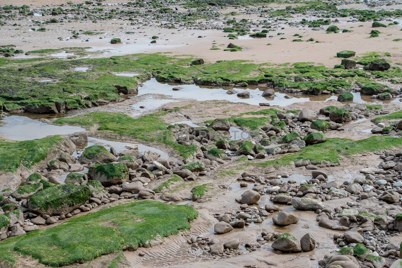 Rock pools visible on a beach after the tide has gone out