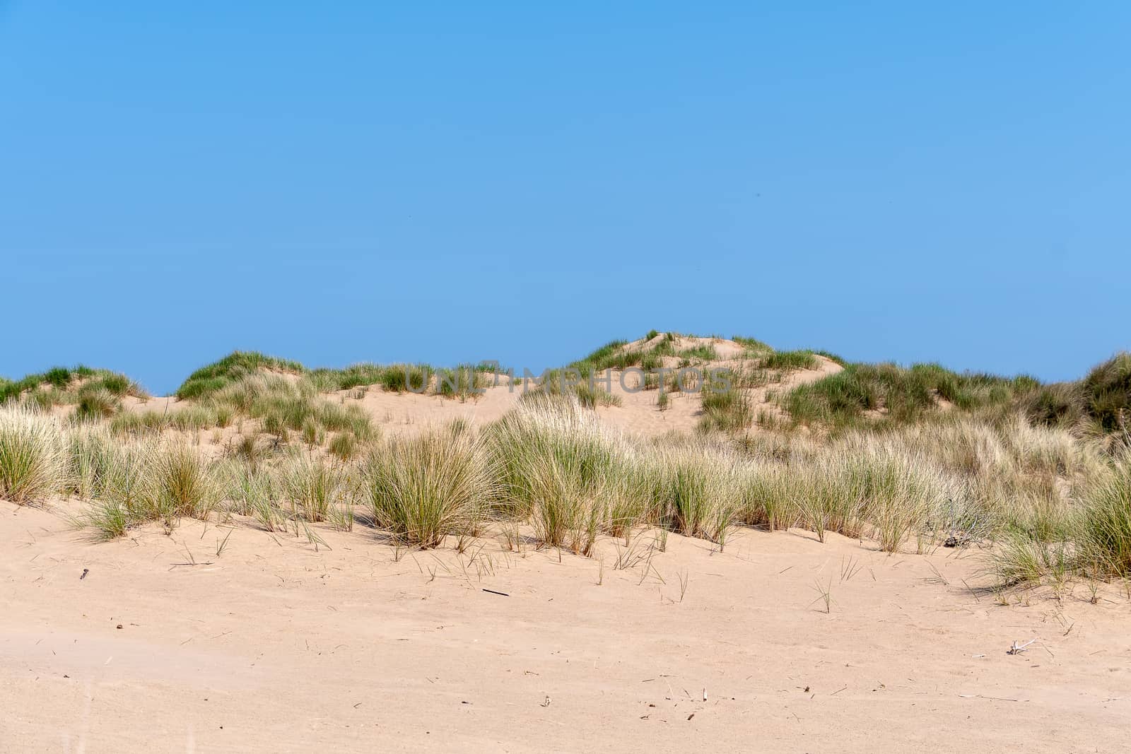 sand dunes on a bright sunny day