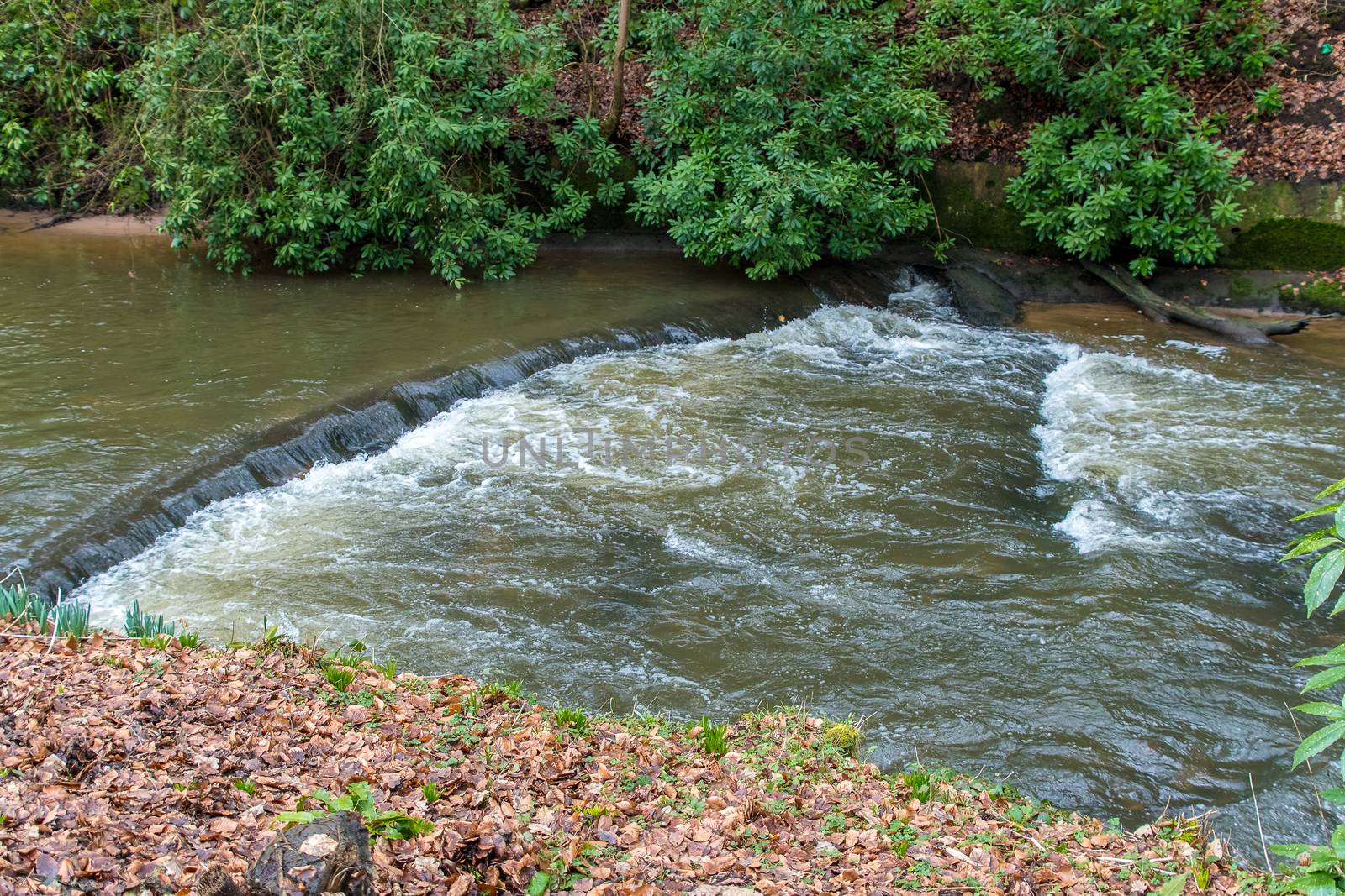 Water flowing over a shallow waterfall in a river