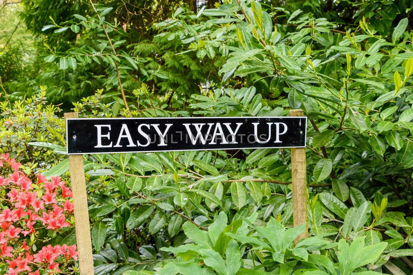 A sign in bushes with the words Easy Way Up