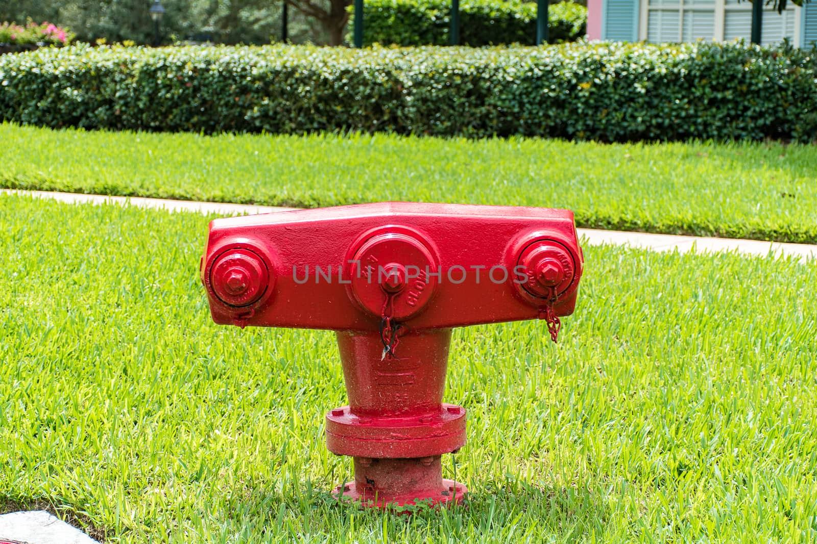 Red American fire hydrant