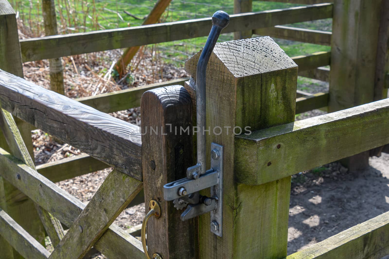 Metal gate post on a wooden forest gate.