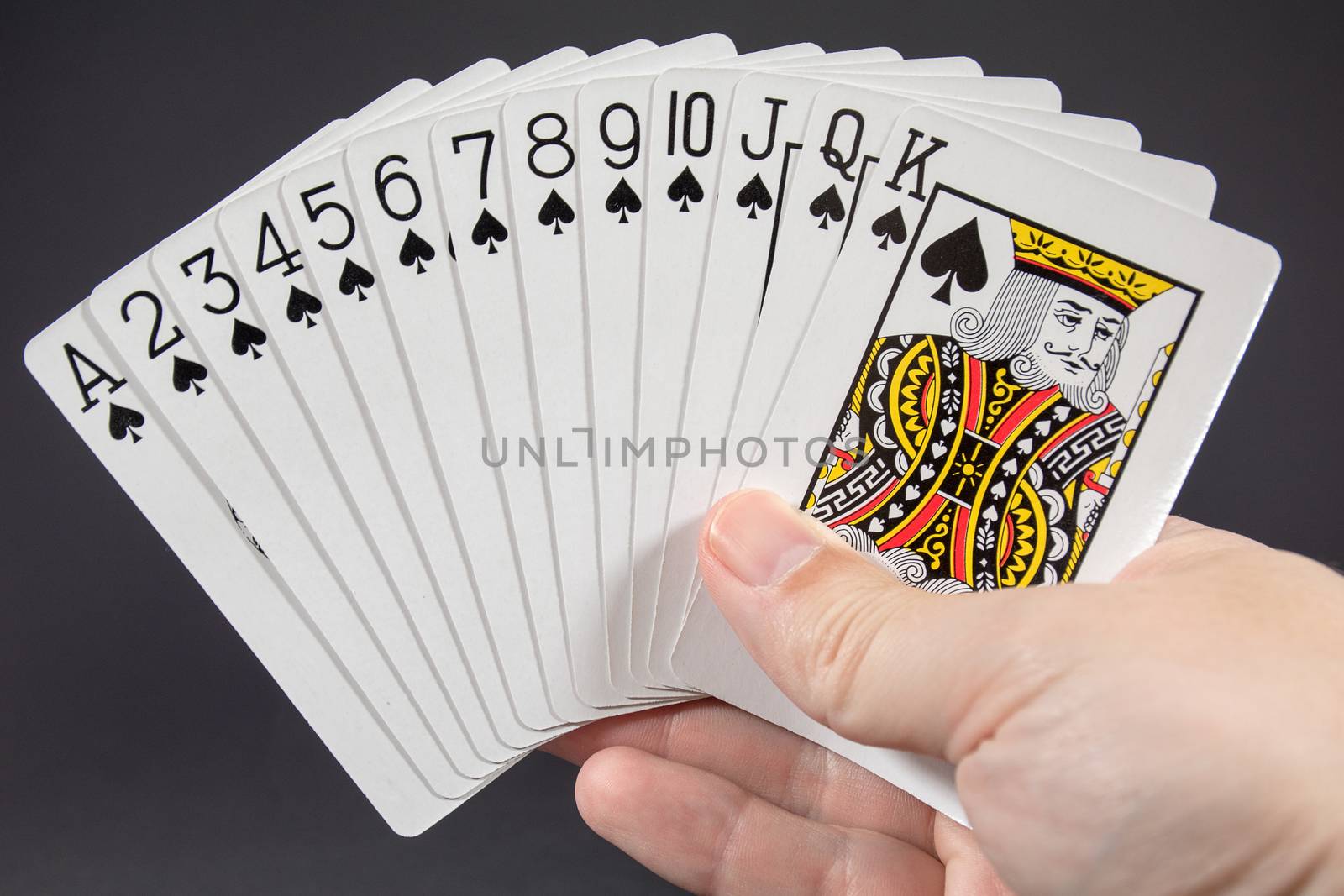 A hand holding the suit of Spades from playing cards