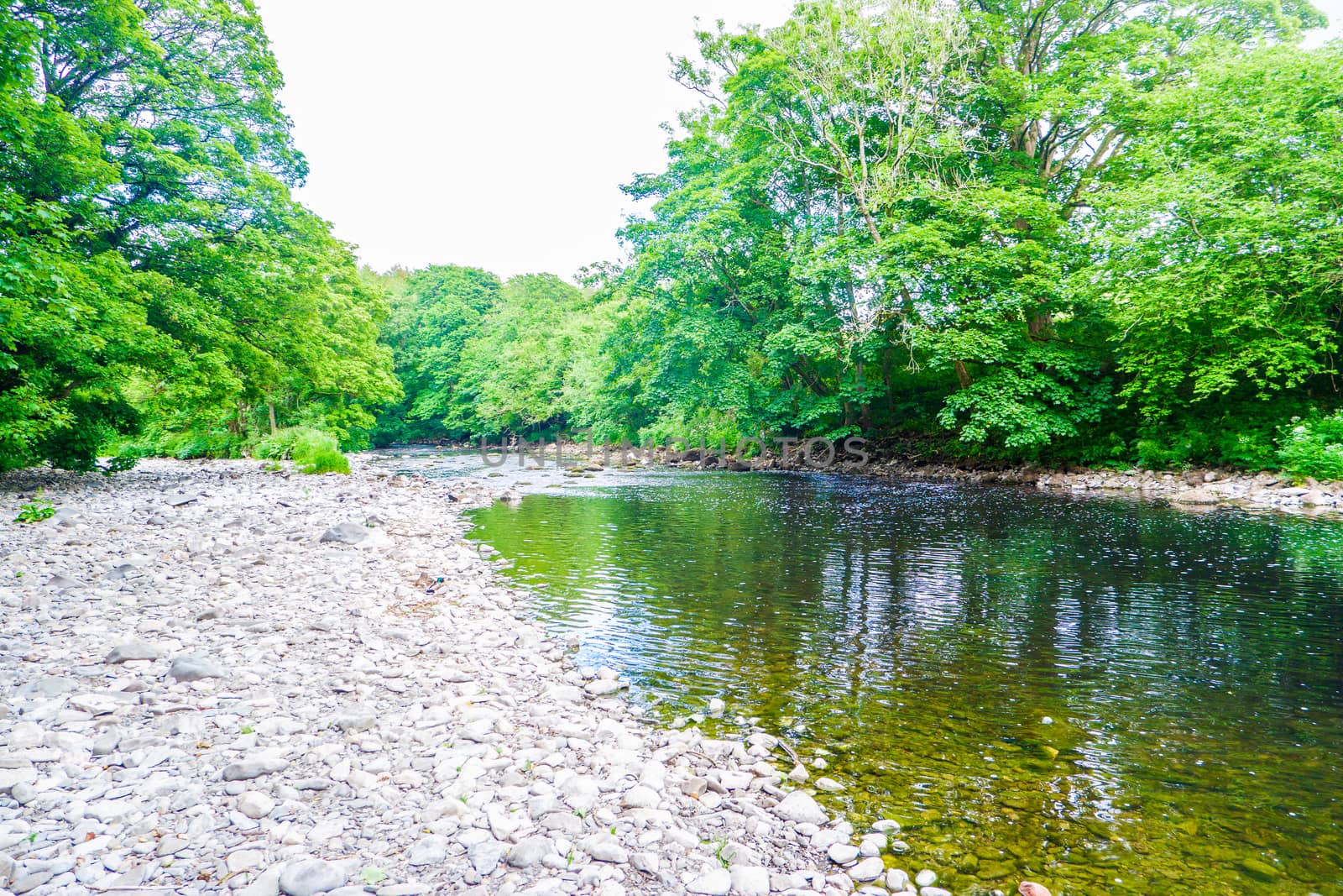 River Kent running over the rocks and pebbles with tree lined banks by paddythegolfer