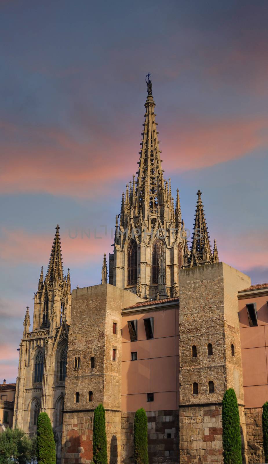 Steeples on Old Barcelona Cathedral by dbvirago