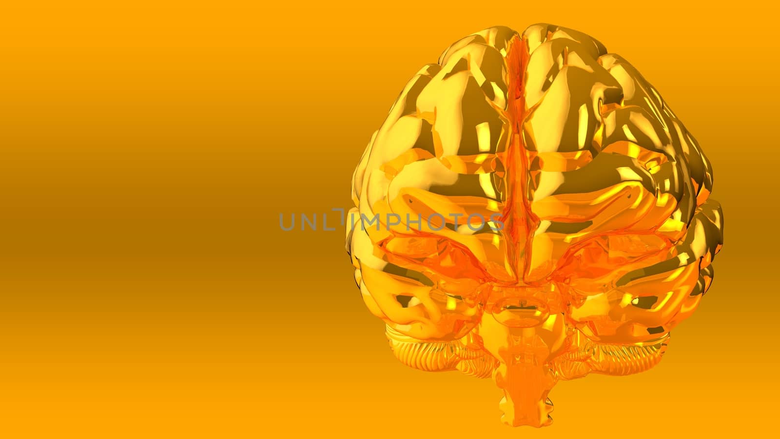 Human brain isolated on a colored background. Anatomical 3D model of human brain for medical students. 3D rendered model