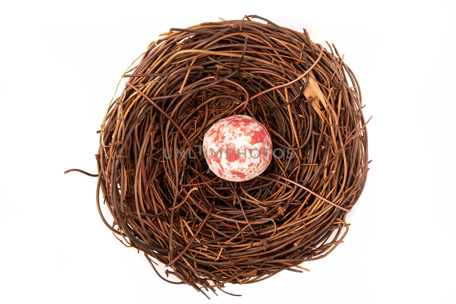 A bird nest with one small spotted pink and white egg.