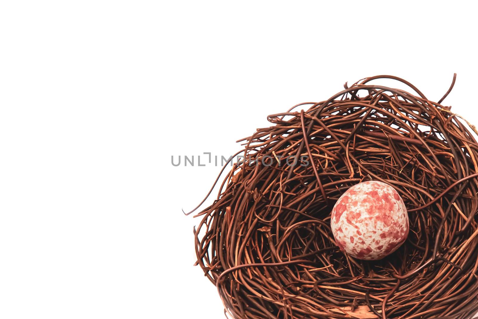 Bird nest with egg by Nawoot