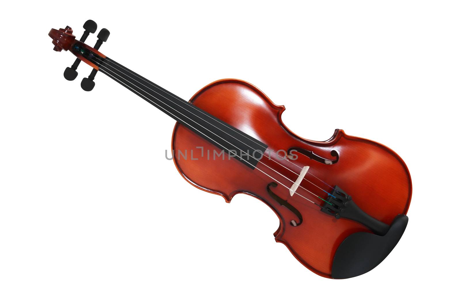 Nice violin isolated on white background with clipping path