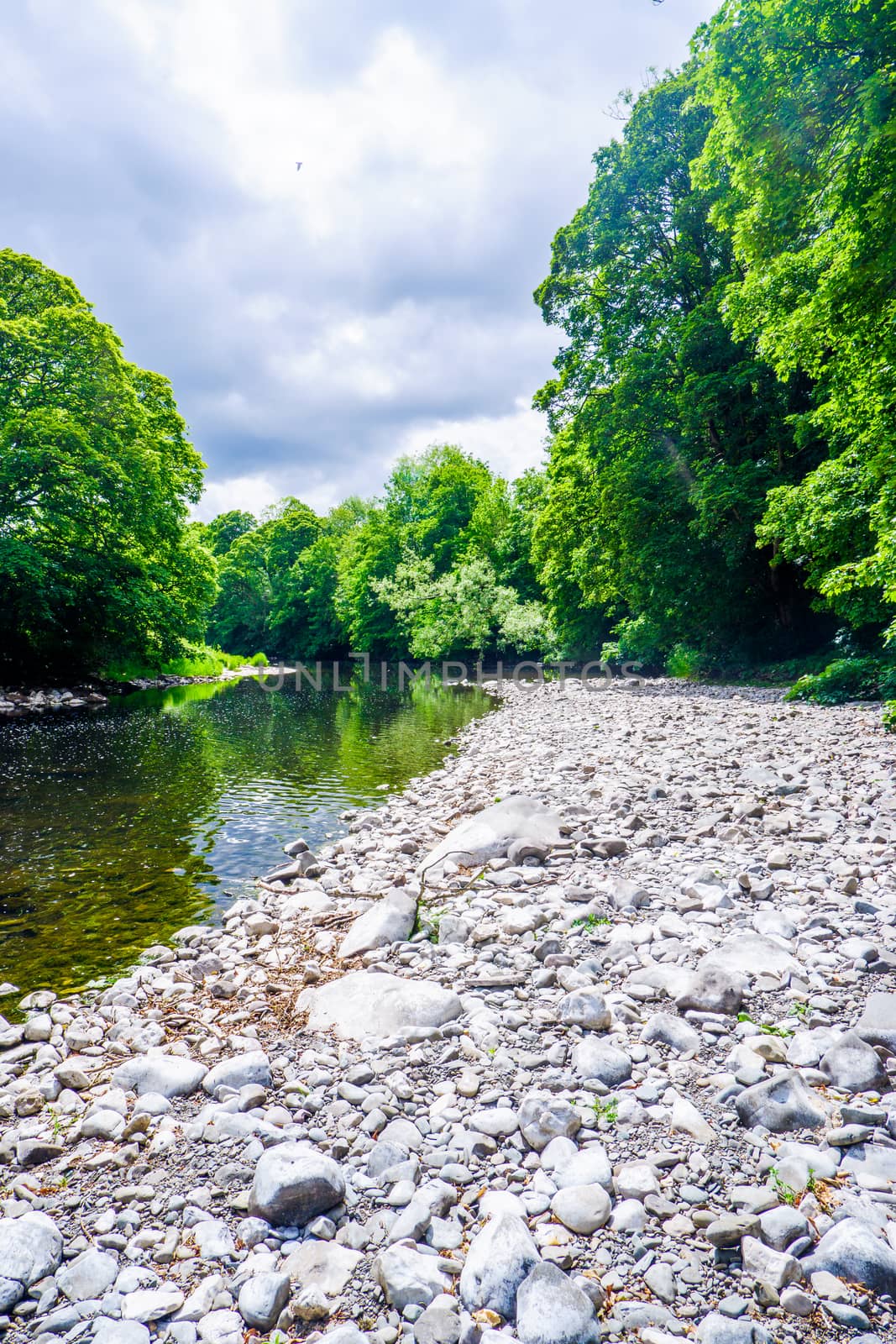 River Kent running over the rocks and pebbles with tree lined banks in summer