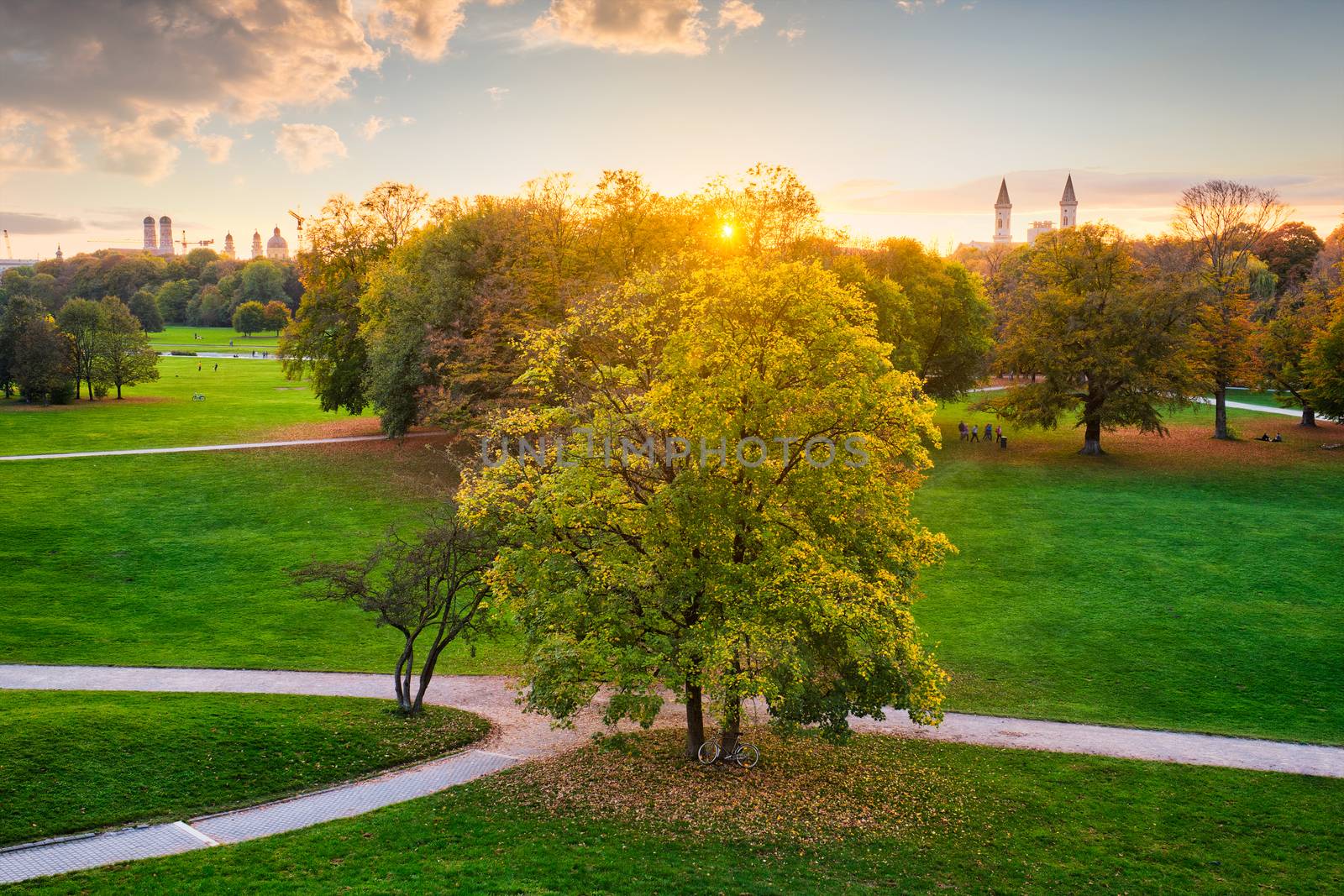 Golden autumn fall October in famous Munich relax place - Englischer Garten. English garden with fallen leaves. Munchen, Bavaria, Germany