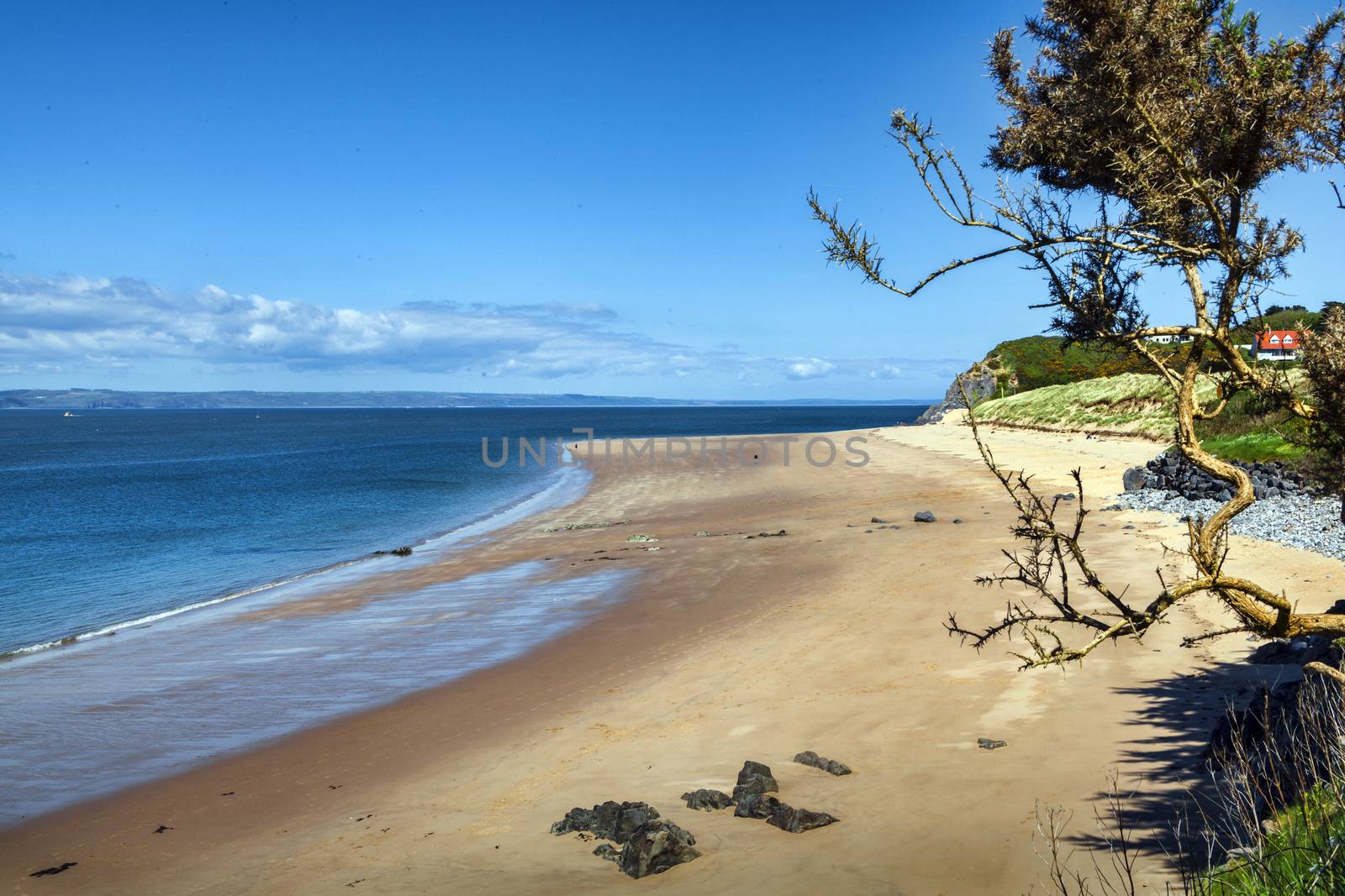 Caldey Island beach coastline Tenby Pembrokeshire Wales by ant