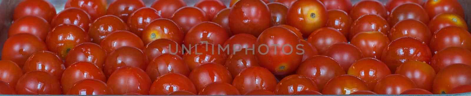 rows of cherry tomatoes by sirspread