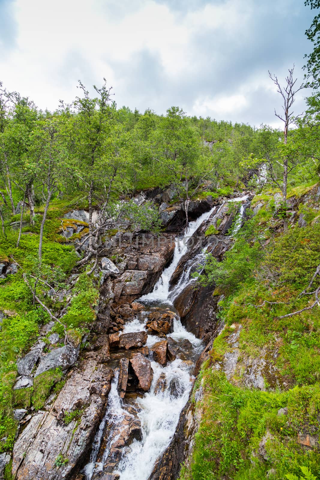 Mountain rapid river in mountains of Norway by Sid10