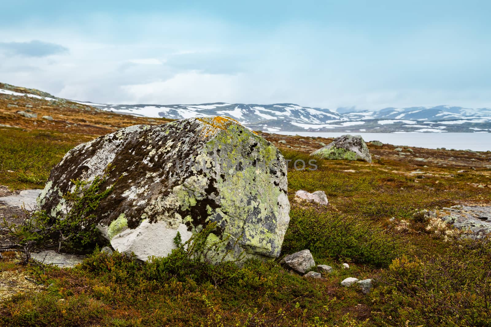 Stones boulders covered with moss. Norwegian climate. Norway landscapes. Beautiful mountainous landscape around Norwegian fjord in sunny day. Beautiful Nature Norway natural landscape.