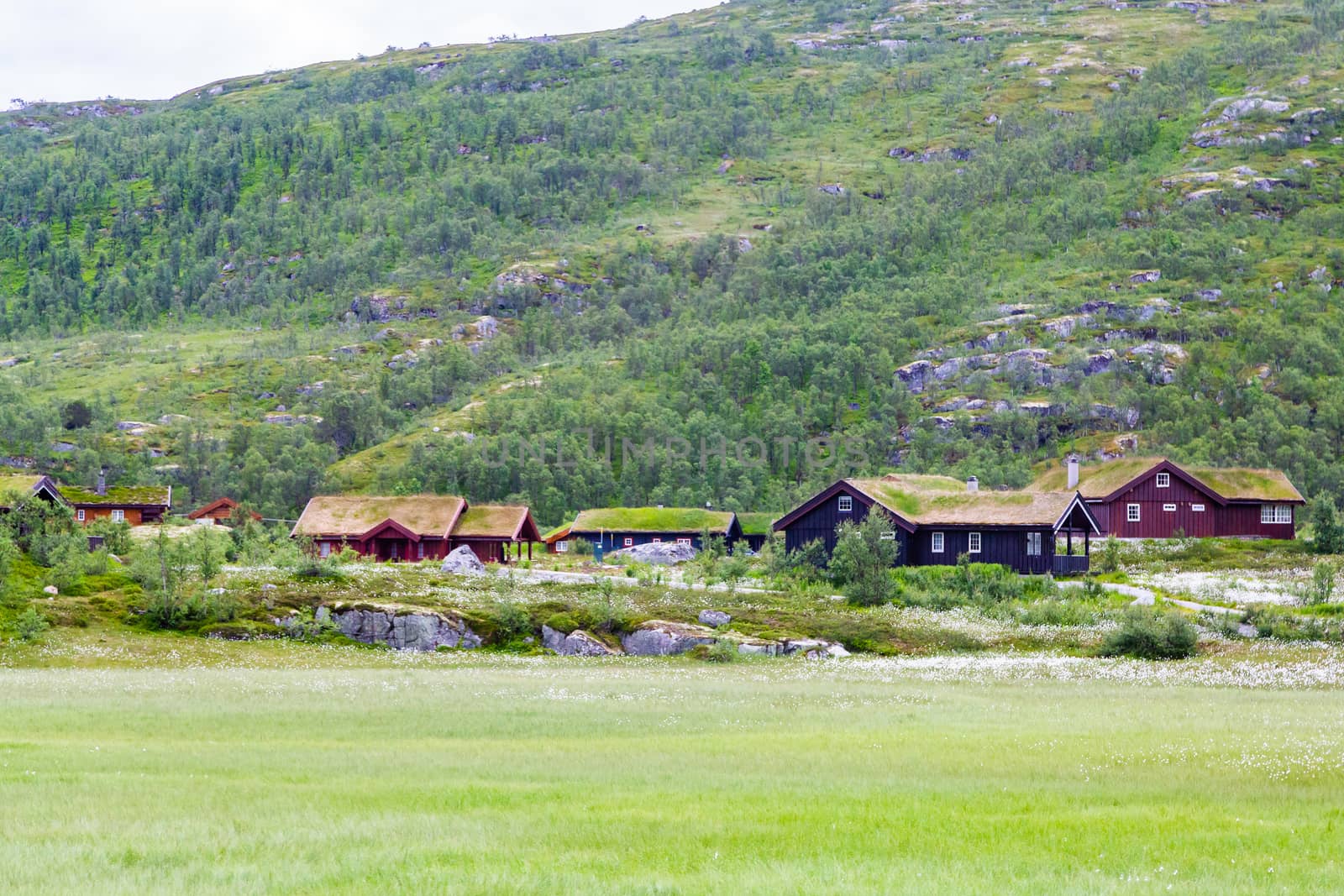 Norwegian country house. Scenic summer view of cottage houses in mountain village, Norway. House with grass roofs in Norway. Norwegian typical grass roof country house.