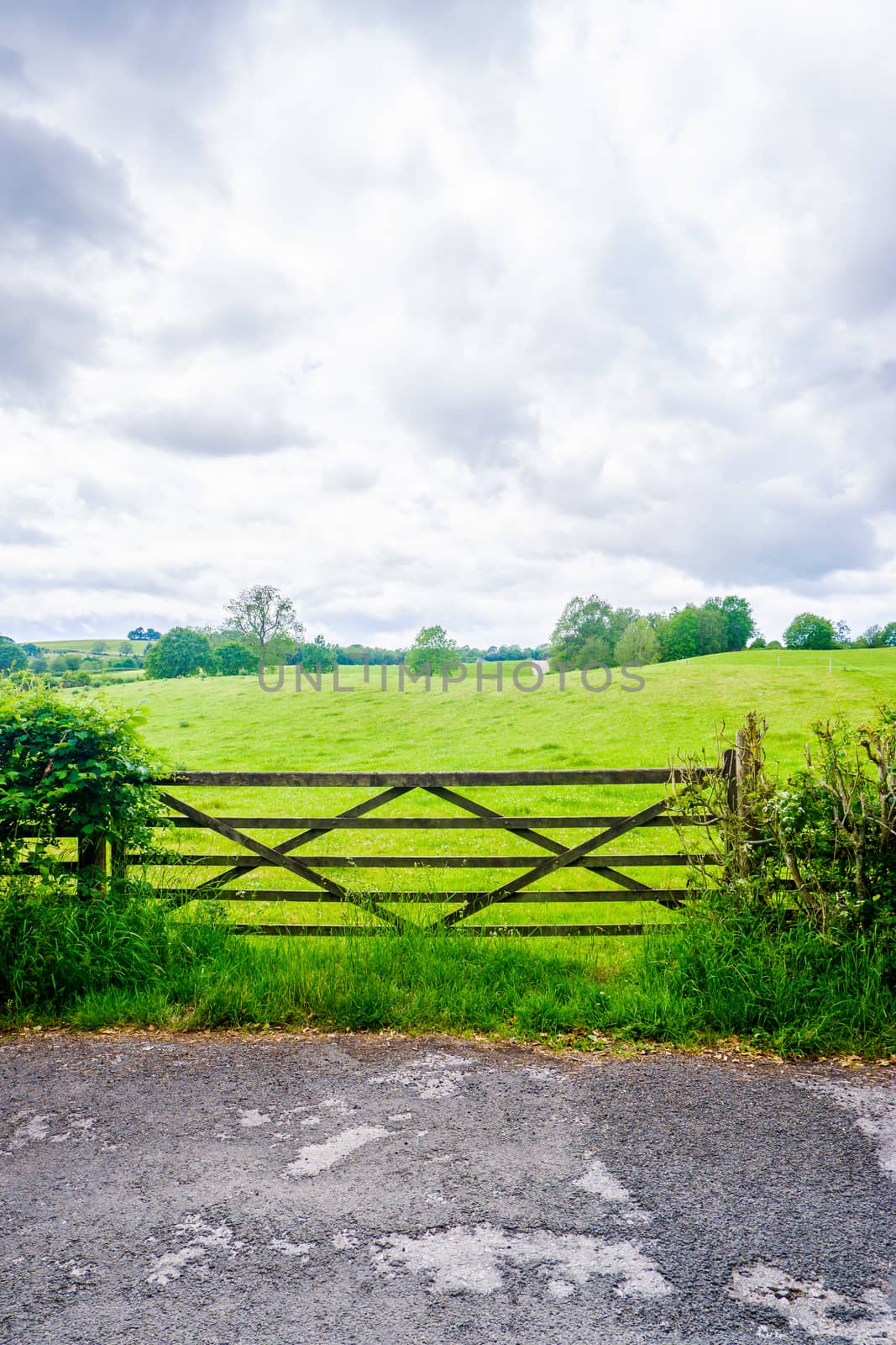 Wooden gate with open field and hawthron hedge by paddythegolfer