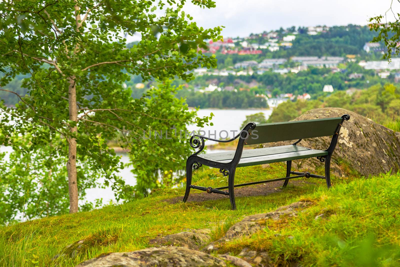 Bench overlooking the pond among the trees by Sid10