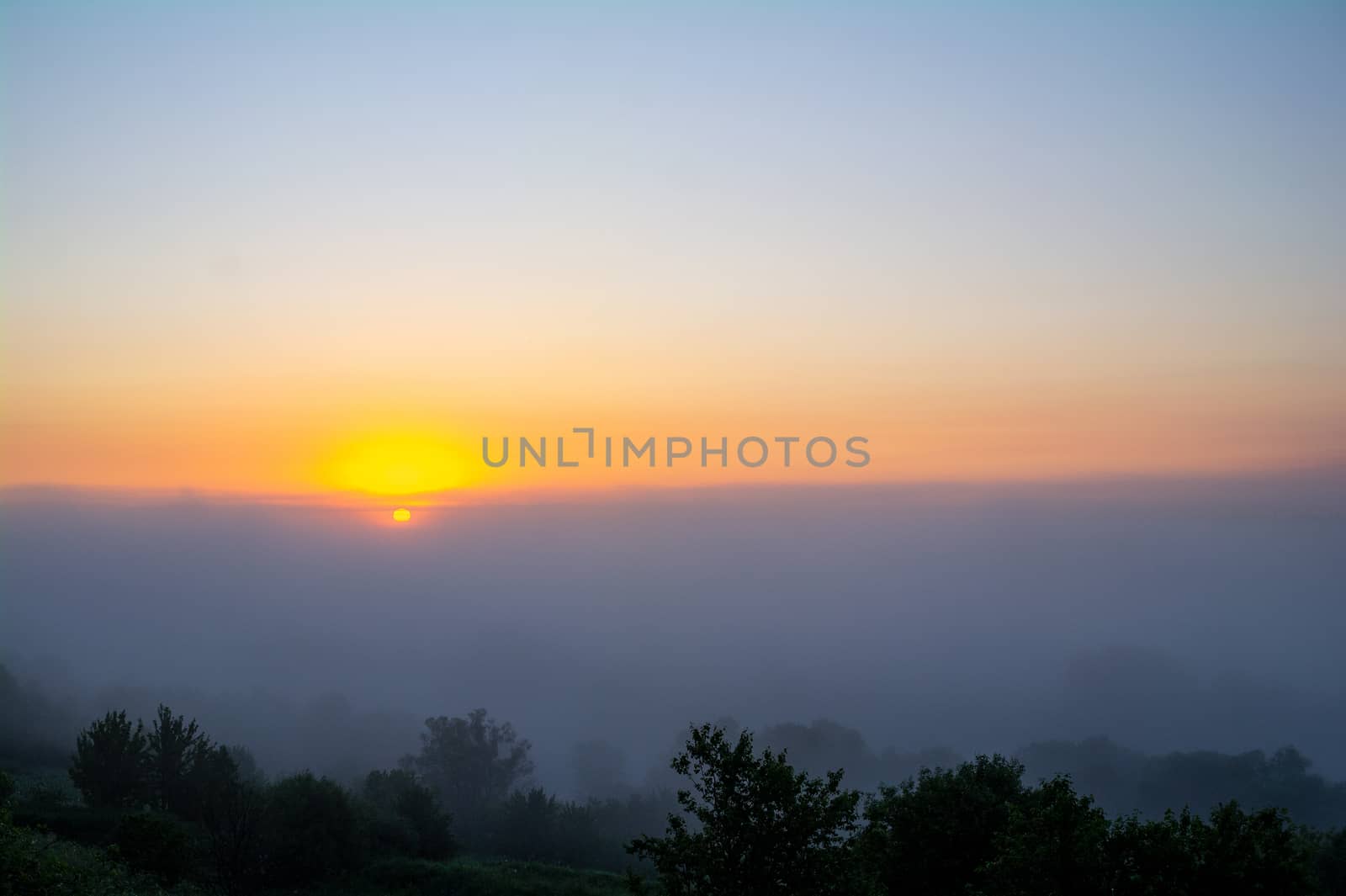 Mist sunrise and tree silhouettes in the fog