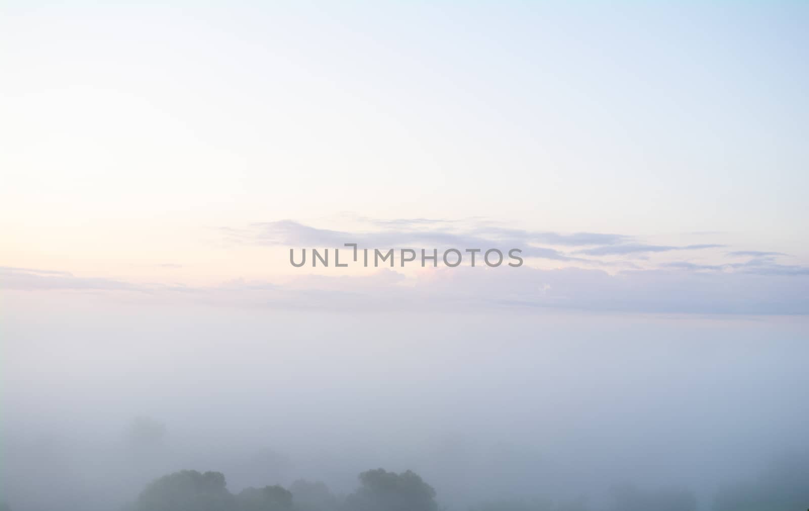 Predawn fog and clouds and tree silhouettes.