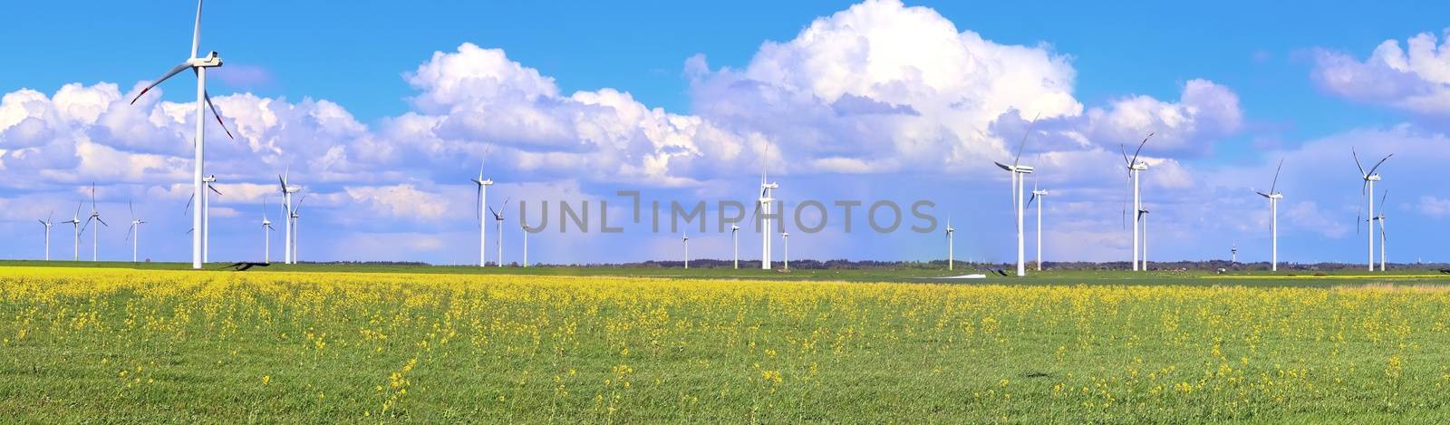 Panoramic view on alternative energy wind mills in a windpark