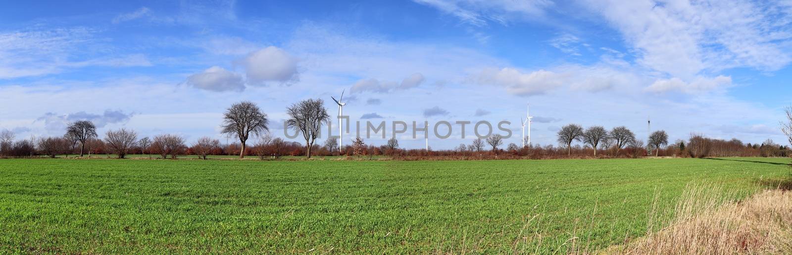 Panoramic view on alternative energy wind mills in a windpark