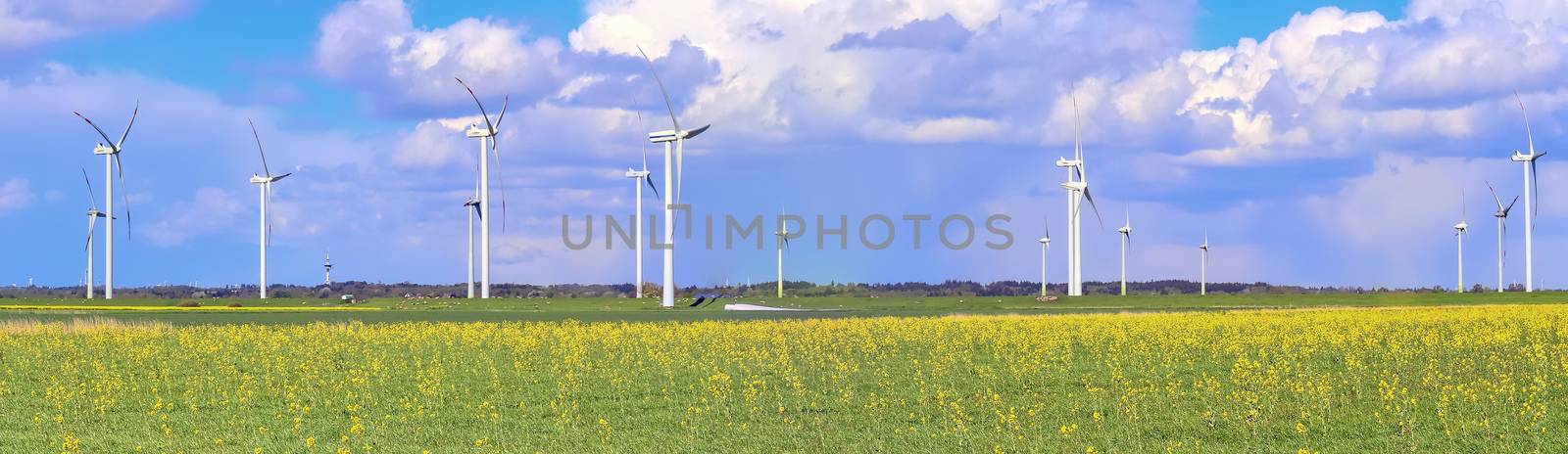 Panoramic view on alternative energy wind mills in a windpark