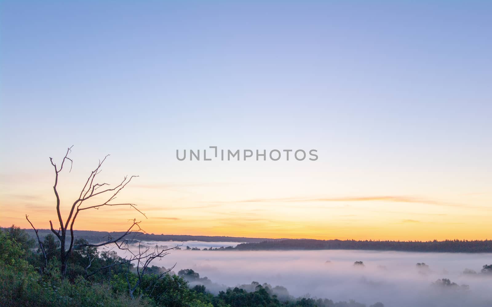 Driftwood against the backdrop of a beautiful natural landscape, sunrise.