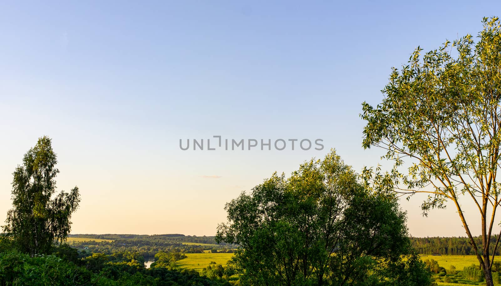 Natural day time landscape, trees and fields by gladder