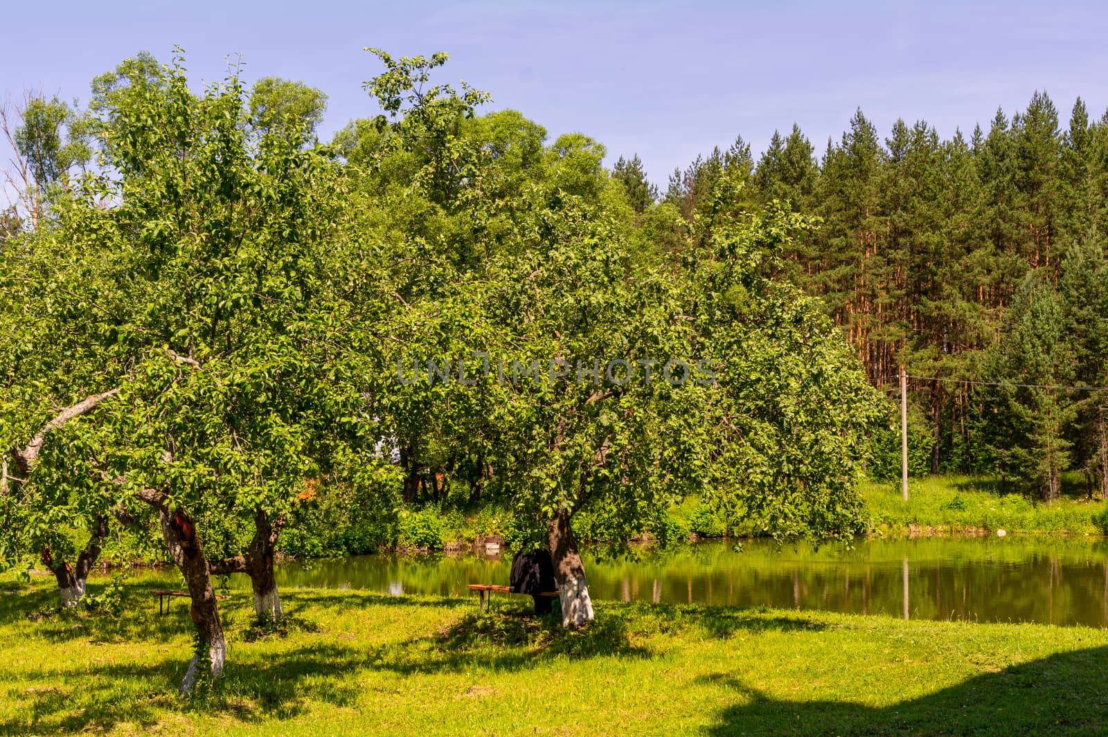 Pond on the territory of the Holy Vvedensky Makaryevsky Zhabyn Monastery, summer.