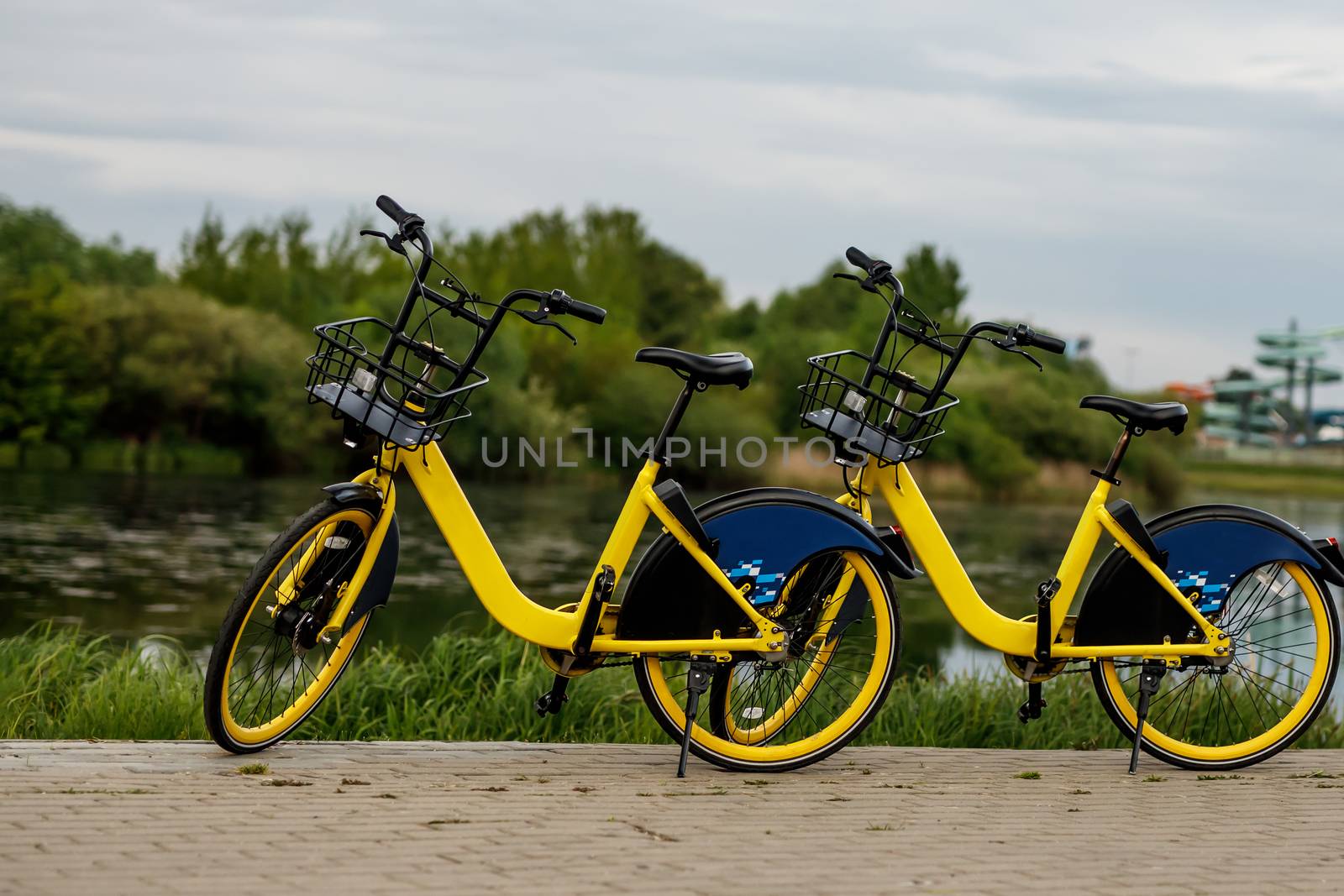 Two yellow city bikes by the lake.