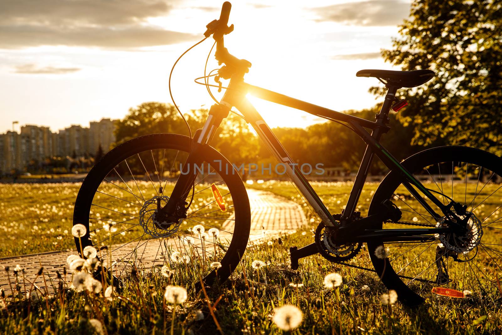 Sports bike in the field at sunset