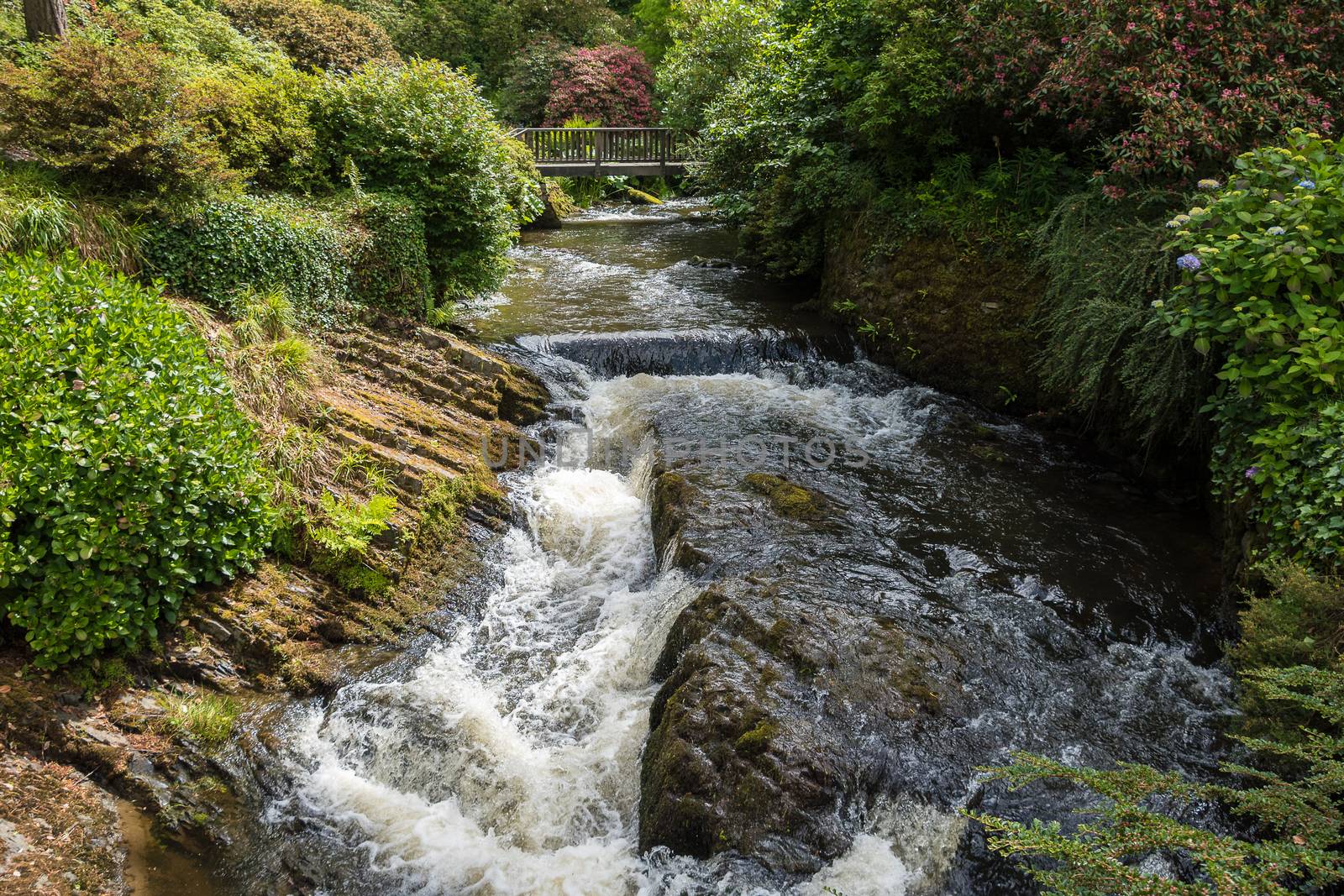 Water cascading over rocks in a river after heavy rainfall