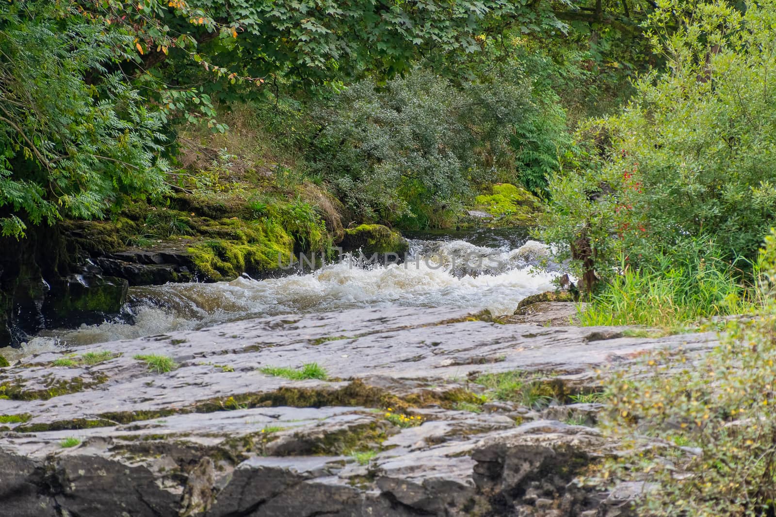 Slate rocks alongside the river Dee in North Wales