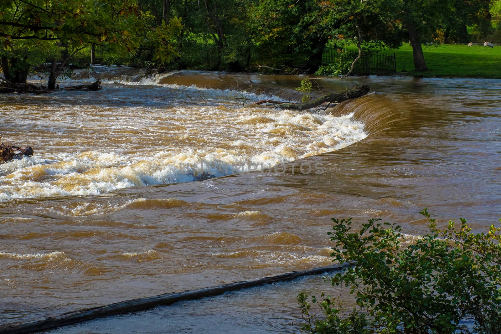 Swollen river after heavy rain causing rapids as it passes over the horseshoe falls