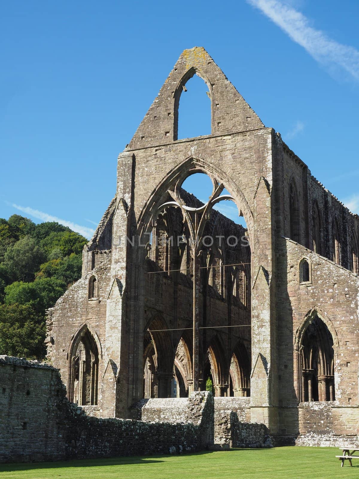 TINTERN, UK - CIRCA SEPTEMBER 2019: Tintern Abbey (Abaty Tyndyrn in Welsh) ruins