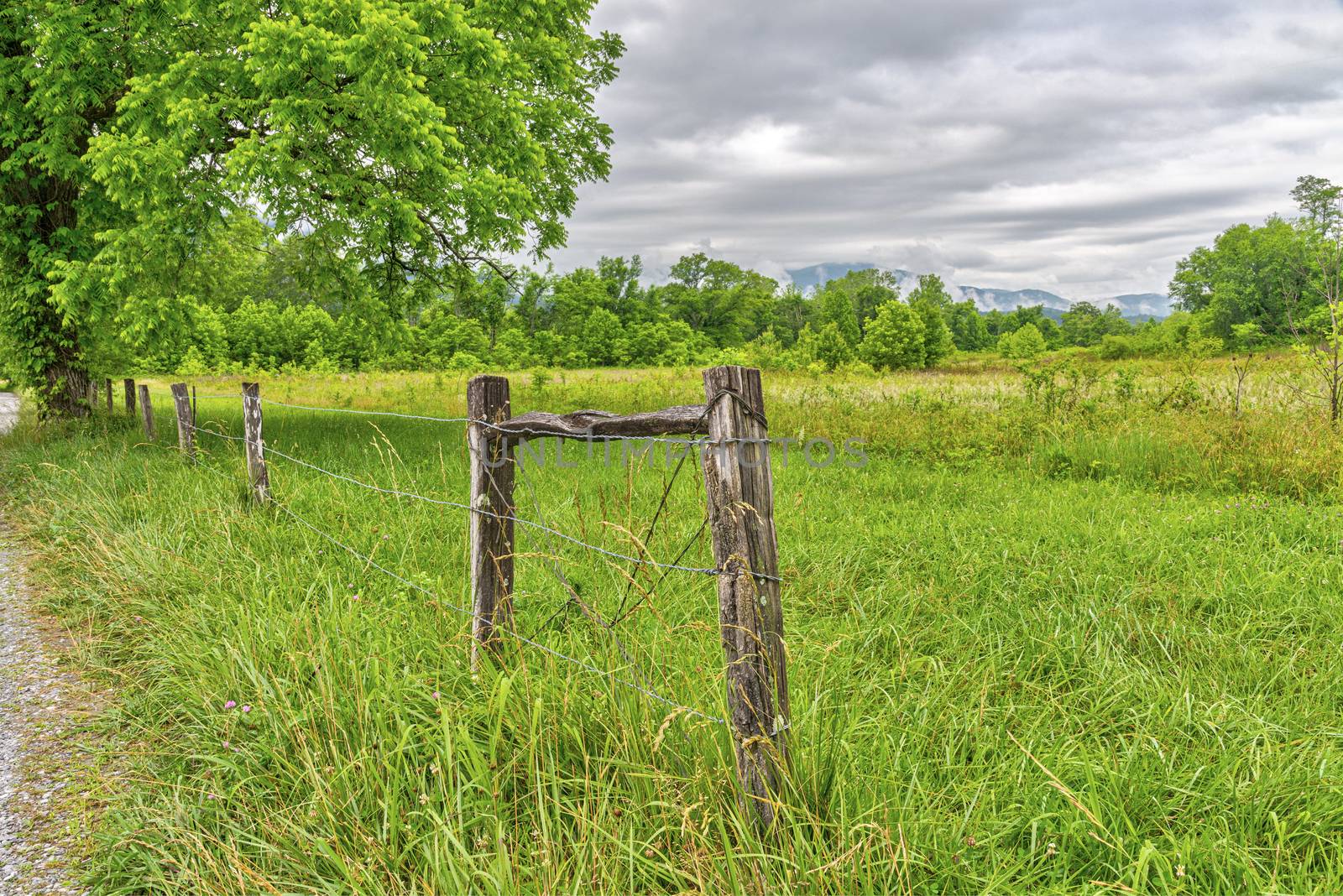 Cades Cove Landscape by stockbuster1