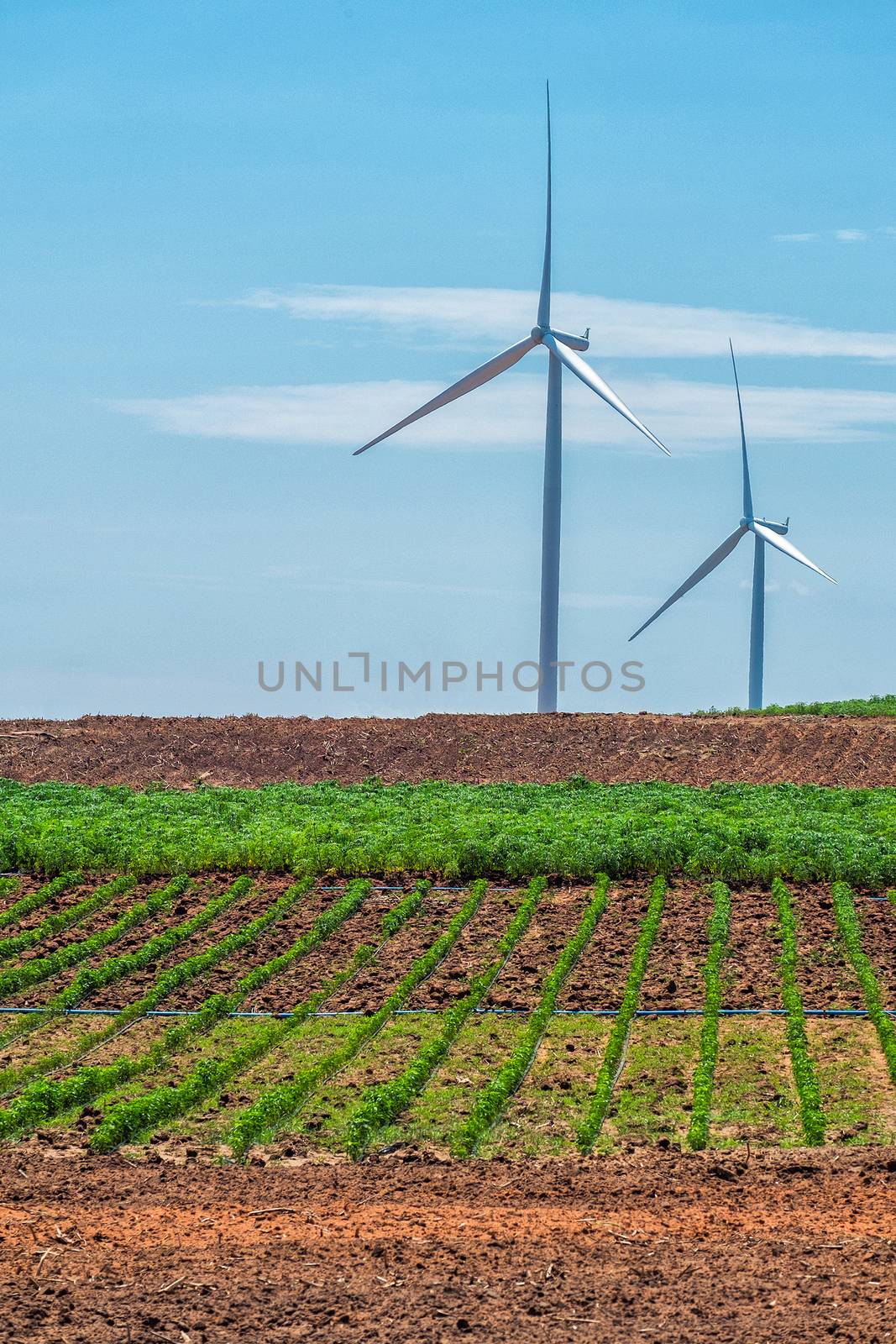 Wind turbine power at daylight 